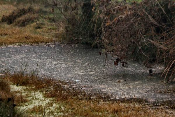 小河很脏怎么办_如何治理小河污染