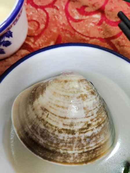 沙白汤的做法大全_沙白汤怎么做好喝