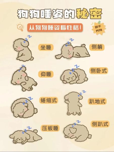 睡觉时的外貌词语有哪些_如何描写睡姿