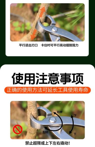 树根怎么修剪_树根修剪用什么工具