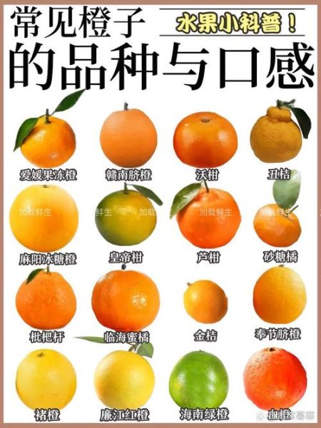 橘子外形描写词语有哪些_如何形容橘子形状