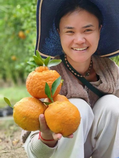 橘子外形描写词语有哪些_如何形容橘子形状