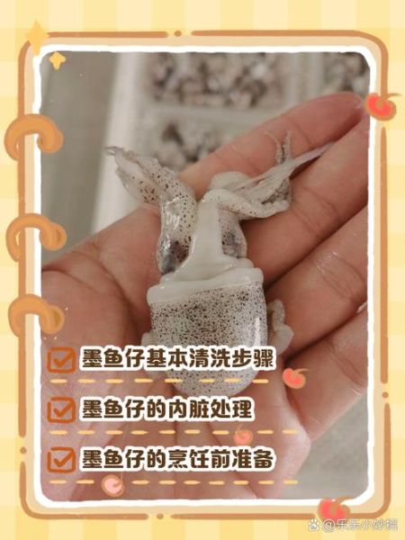 墨鱼仔怎么洗_墨鱼仔焯水多久