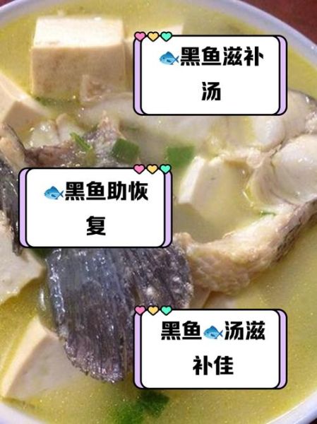 手术后黑鱼汤的做法_黑鱼汤怎么炖最补伤口
