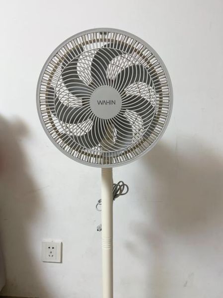 电风扇什么牌子好_家用电风扇怎么选