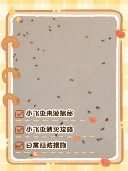 虫子为什么会飞_家里常见飞虫怎么消灭