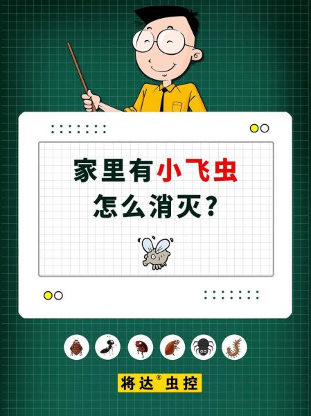 虫子为什么会飞_家里常见飞虫怎么消灭