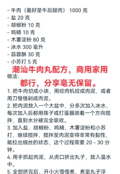 牛肉丸子怎么做_正宗潮汕牛肉丸配方