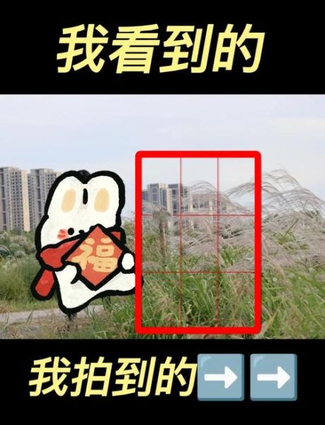 手机摄影大赛怎么拍_手机摄影大赛投稿技巧