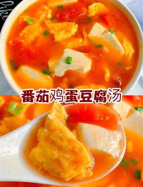 西红柿炖豆腐怎么做_西红柿炖豆腐需要焯水吗