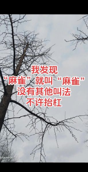 麻雀怎么叫的词语_麻雀叫声像什么