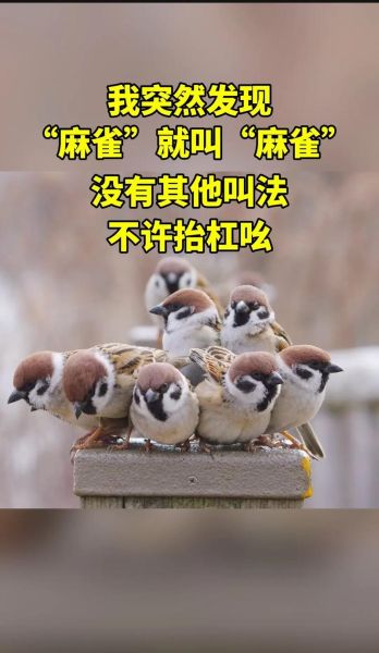 麻雀怎么叫的词语_麻雀叫声像什么