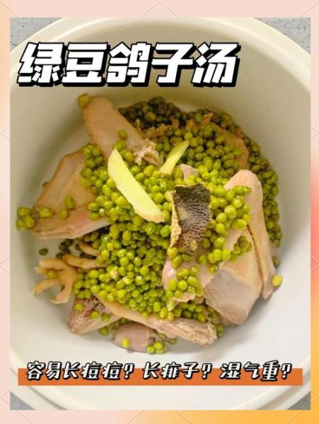 鸽子绿豆汤的做法_鸽子绿豆汤的功效与禁忌