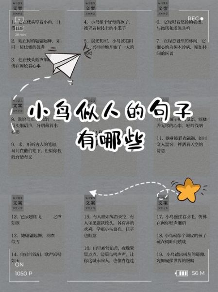 形容鸟心情的词语有哪些_如何用拟人化手法写鸟