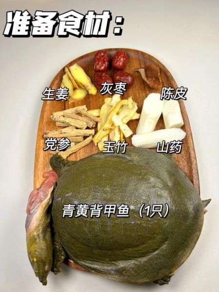 甲鱼怎么杀_甲鱼汤的做法