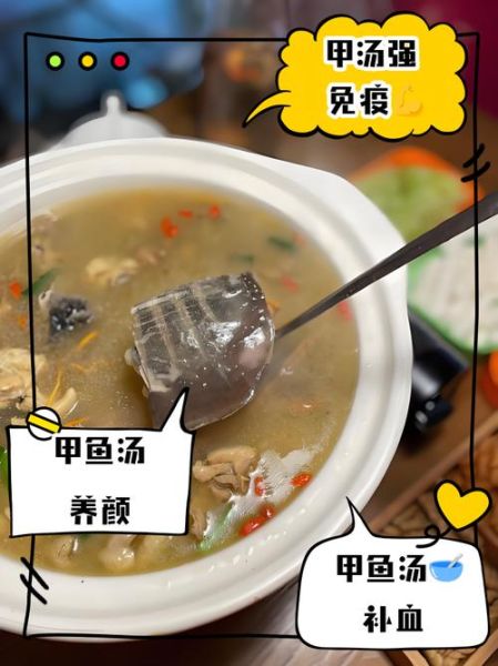 甲鱼怎么杀_甲鱼汤的做法