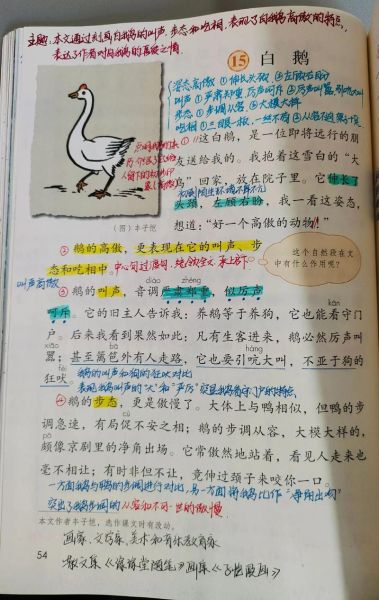 白鹅风景词语有哪些_白鹅风景描写怎么写