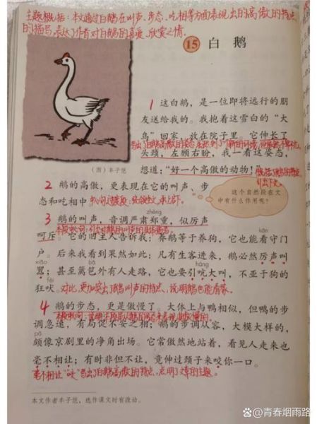 白鹅风景词语有哪些_白鹅风景描写怎么写