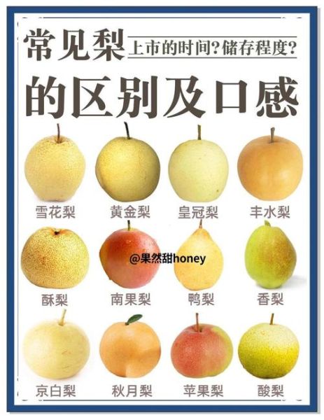 梨的味道像什么_梨的味道怎么形容