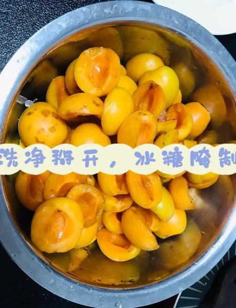 杏子酱怎么做_自制杏子酱保存多久