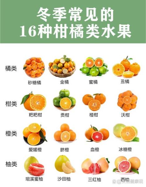 柑橘怎么挑选甜的_柑橘有哪些品种好吃
