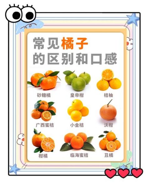 柑橘怎么挑选甜的_柑橘有哪些品种好吃