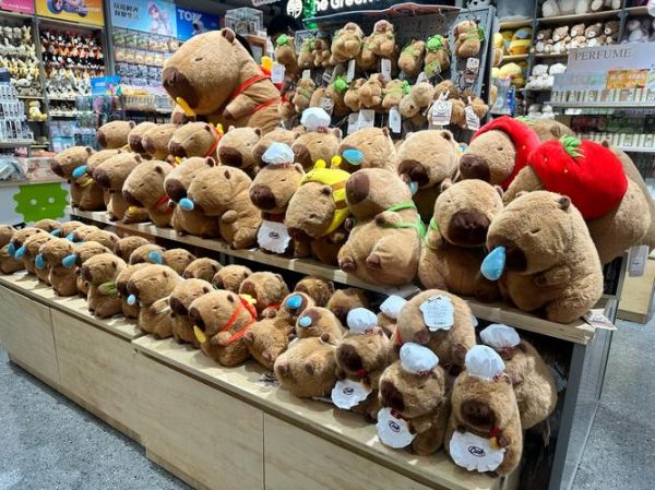 玩具手感怎么形容_玩具手感好的标准是什么