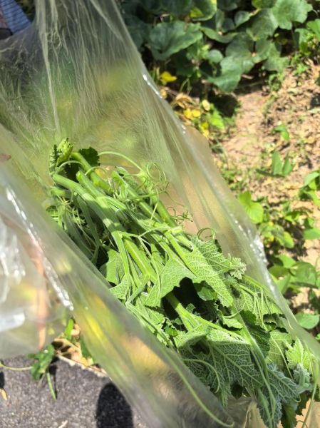 舞台台风怎么练_舞台台风训练方法