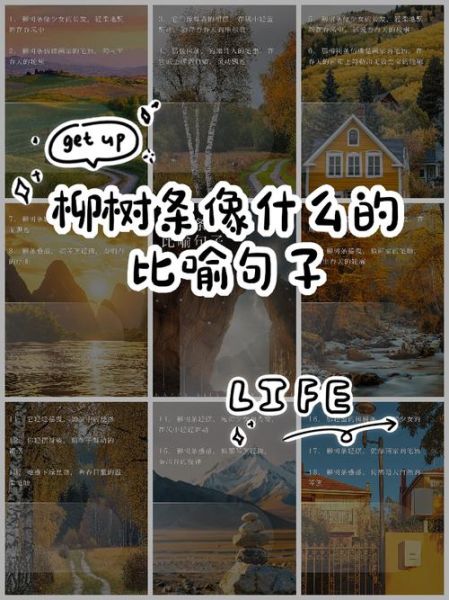 如何描写树枝_树枝像什么比喻句