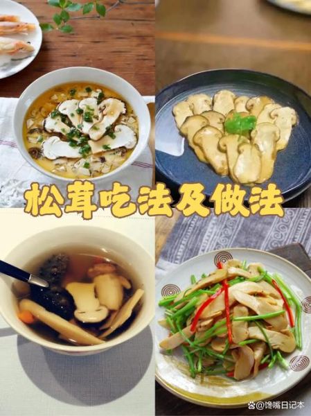 新鲜松茸怎么做好吃_新鲜松茸的做法大全