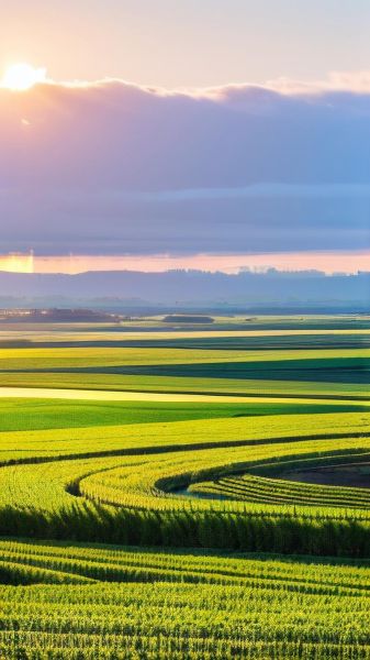 手机风景壁纸怎么选_高清壁纸去哪下载