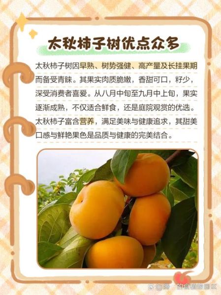 秋天有哪些优点_秋天为什么受欢迎