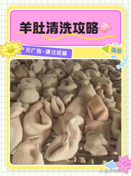 羊肚怎么清洗_羊肚的做法大全