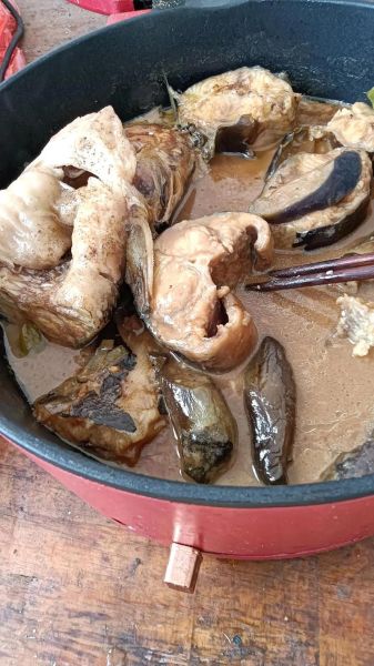 鲶鱼炖茄子怎么做_鲶鱼炖茄子家常做法