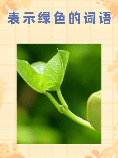 绿色长青词语有哪些_如何持续运用