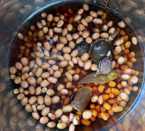 新鲜花生米怎么煮_新鲜花生米做法大全
