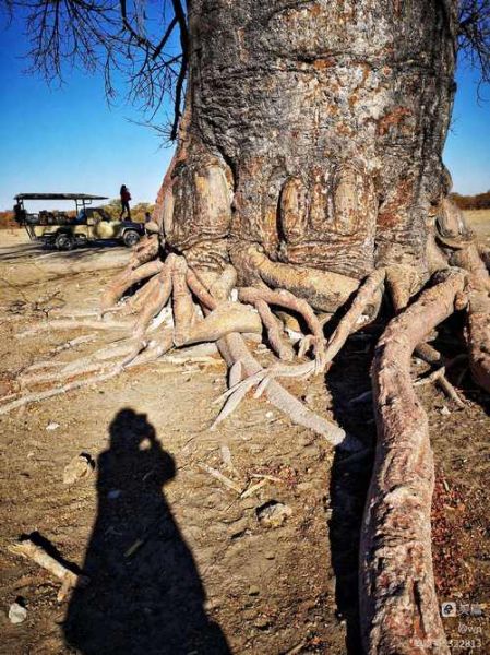 伟岸是什么意思_伟岸形容人还是景物