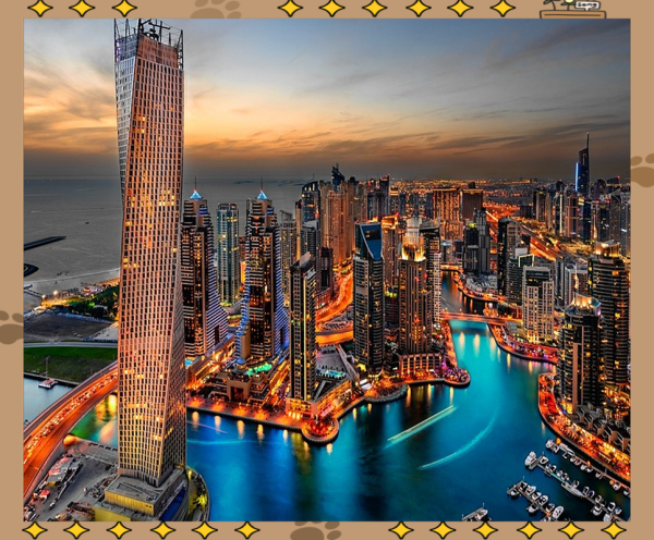 怎么移民迪拜_迪拜移民条件