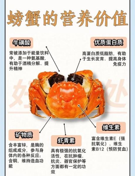 螃蟹用什么词语_如何描写螃蟹的生动细节