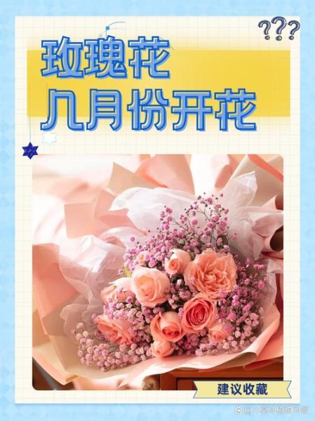 玫瑰什么时候开花_玫瑰什么季节最香