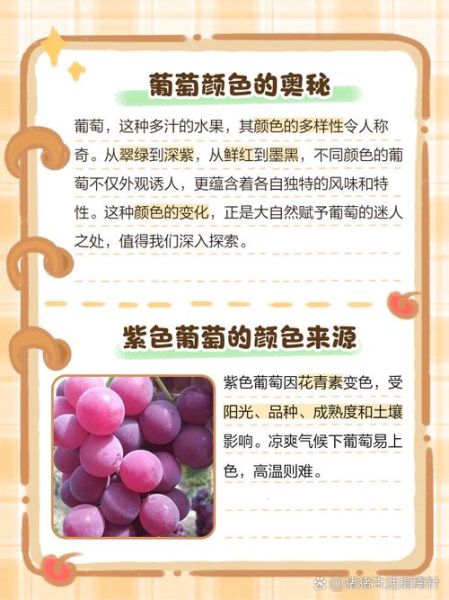 葡萄色是什么颜色_葡萄色搭配禁忌