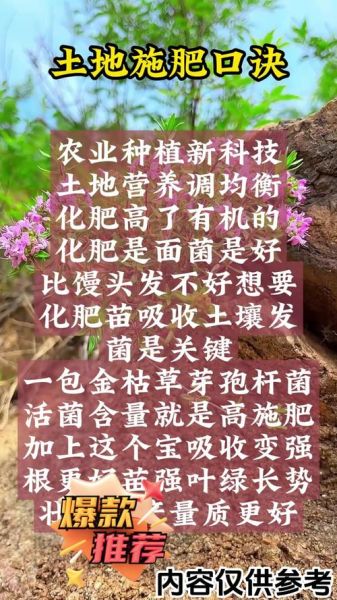 农民如何科学施肥_农民种什么最赚钱