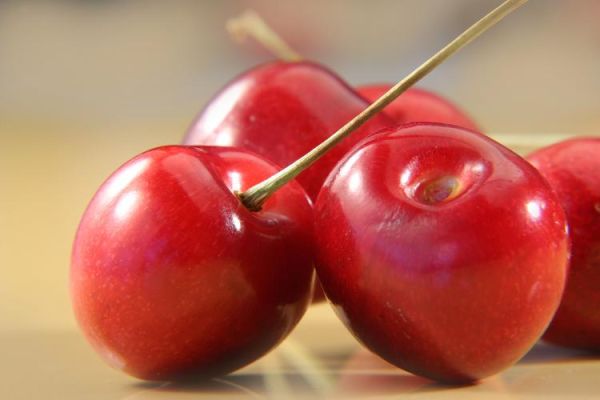 车里子什么味道_车里子口感怎么样