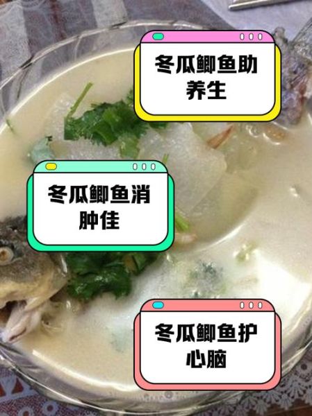 鲫鱼冬瓜汤怎么炖不腥_鲫鱼冬瓜汤做法详细步骤