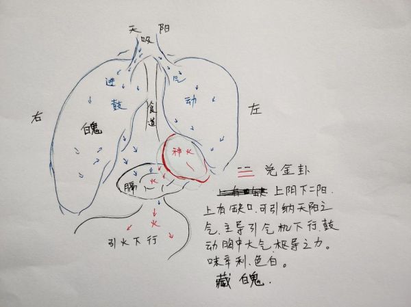 魄力是什么意思_如何培养魄力