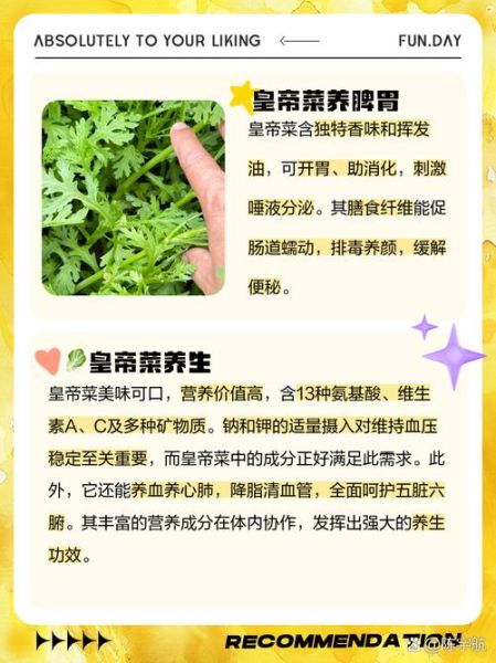 菜珍贵是什么意思_菜珍贵有哪些典故
