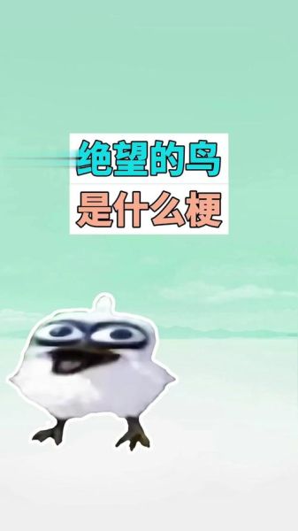 鸟叫悲哀词语有哪些_为什么鸟叫会听出悲伤