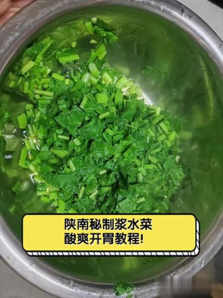 浆水菜怎么做_浆水菜酸了还能吃吗