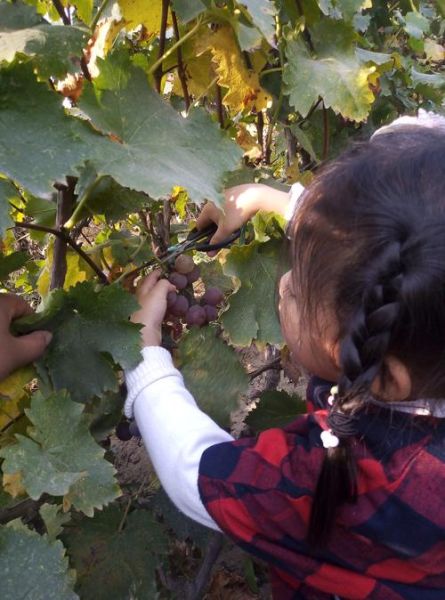 圣杰移民怎么样_圣杰移民靠谱吗