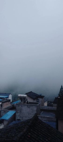 雾气腾腾是什么现象_雾气腾腾对人体有害吗